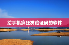给手机疯狂发验证码的软件