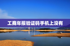 工商年报验证码手机上没有