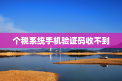 个税系统手机验证码收不到