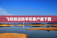 飞码验证码手机客户端下载