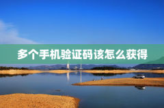多个手机验证码该怎么获得