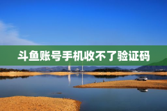 斗鱼账号手机收不了验证码