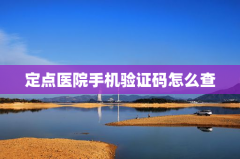 定点医院手机验证码怎么查
