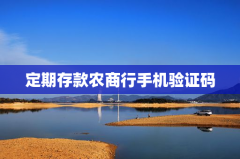 定期存款农商行手机验证码支付