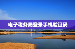 电子税务局登录手机验证码