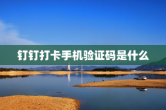 钉钉打卡手机验证码是什么