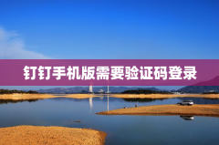 钉钉手机版需要验证码登录