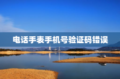 电话手表手机号验证码错误