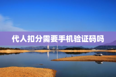 代人扣分需要手机验证码吗