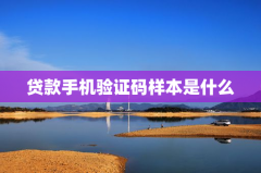贷款手机验证码样本是什么