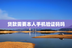贷款需要本人手机验证码吗