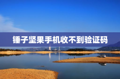 锤子坚果手机收不到验证码