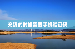 充钱的时候需要手机验证码