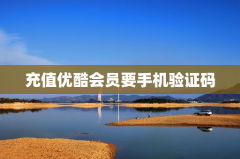 充值优酷会员要手机验证码