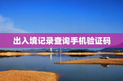 出入境记录查询手机验证码