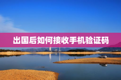 出国后如何接收手机验证码