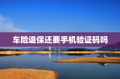 车险退保还要手机验证码吗