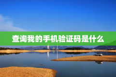 查询我的手机验证码是什么