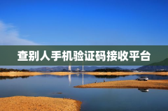 查别人手机验证码接收平台
