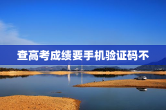 查高考成绩要手机验证码不