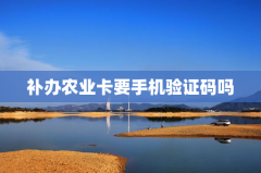 补办农业卡要手机验证码吗