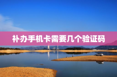 补办手机卡需要几个验证码