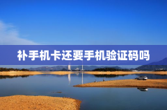 补手机卡还要手机验证码吗