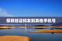 报税验证码发到其他手机号