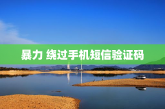 暴力 绕过手机短信验证码
