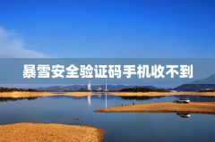 暴雪安全验证码手机收不到