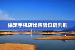 保定手机店出售验证码判刑