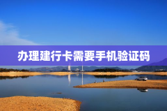 办理建行卡需要手机验证码