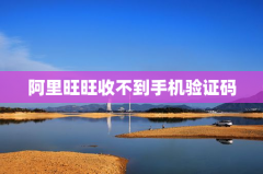 阿里旺旺收不到手机验证码
