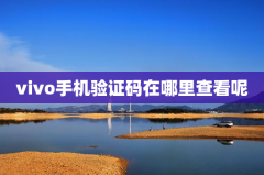 vivo手机验证码在哪里查看呢