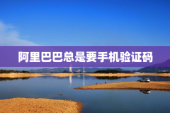 阿里巴巴总是要手机验证码