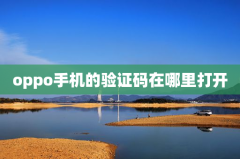 oppo手机的验证码在哪里打开
