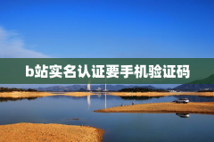 b站实名认证要手机验证码