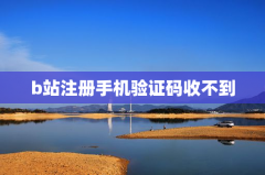 b站注册手机验证码收不到