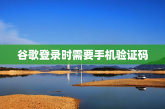谷歌登录时需要手机验证码