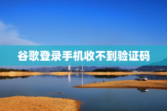 谷歌登录手机收不到验证码