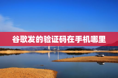 谷歌发的验证码在手机哪里