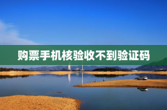 购票手机核验收不到验证码