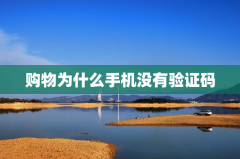 购物为什么手机没有验证码