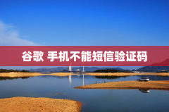 谷歌手机不能短信验证码
