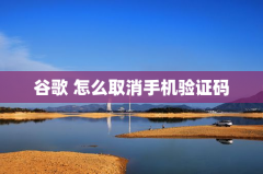 谷歌 怎么取消手机验证码