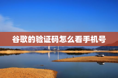 谷歌的验证码怎么看手机号
