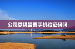 公司缴税需要手机验证码吗