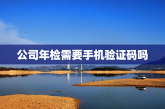 公司年检需要手机验证码吗