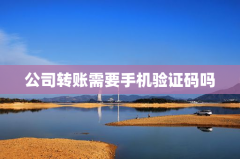 公司转账需要手机验证码吗