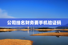 公司挂名财务要手机验证码